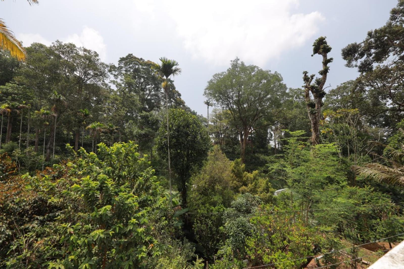 Green Shades Munnar Εξωτερικό φωτογραφία