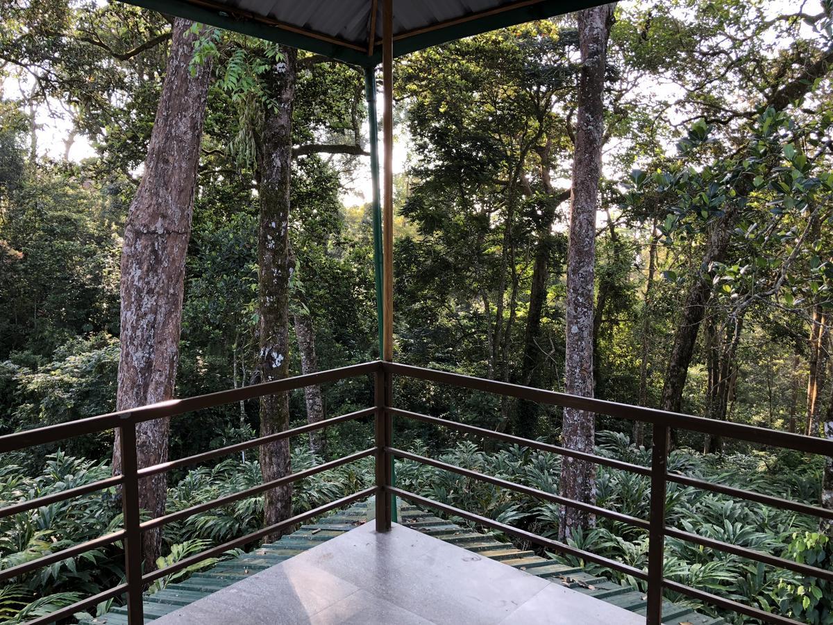 Green Shades Munnar Εξωτερικό φωτογραφία