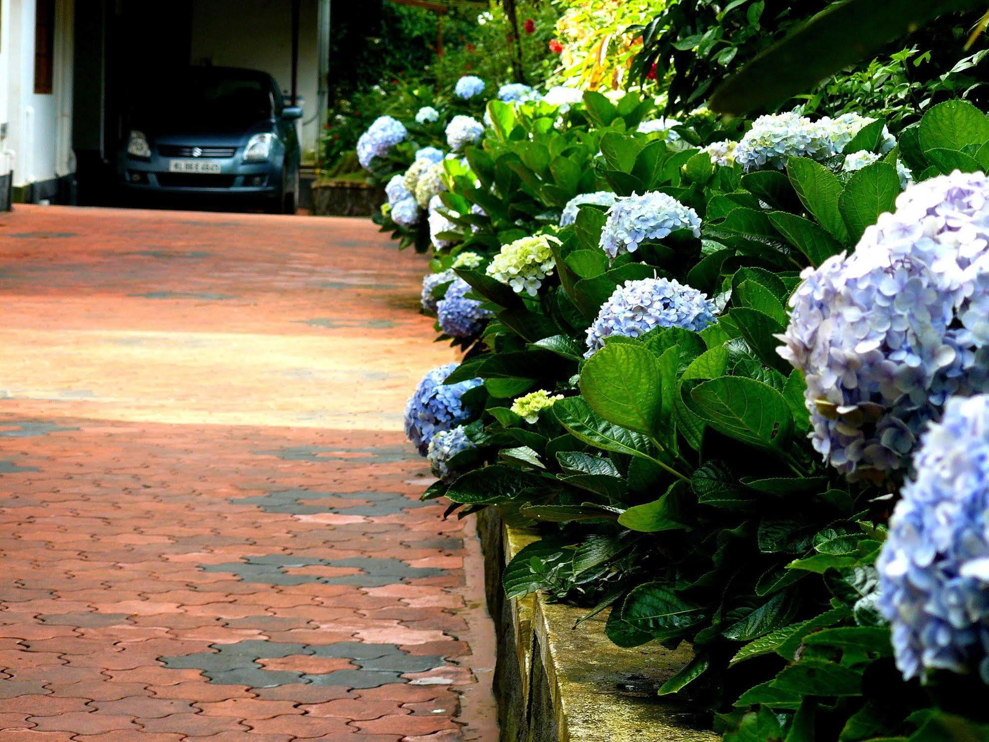 Green Shades Munnar Εξωτερικό φωτογραφία
