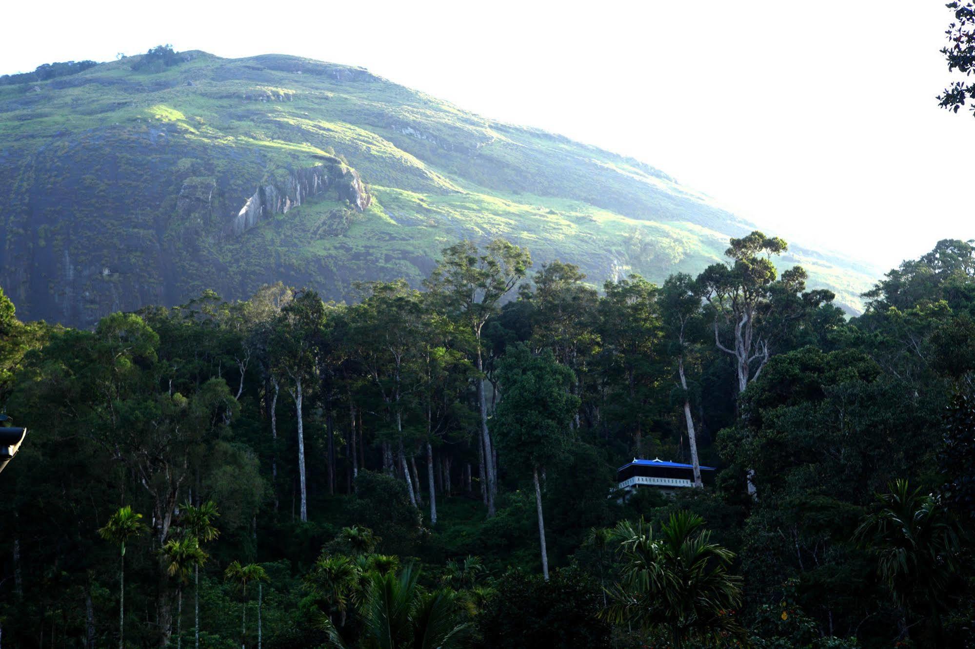 Green Shades Munnar Εξωτερικό φωτογραφία